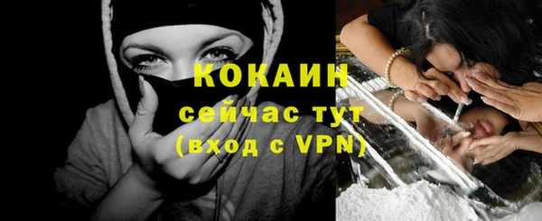 apvp Каменногорск
