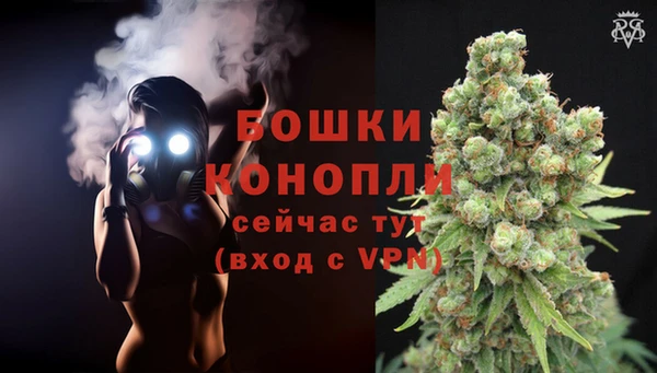 apvp Каменногорск