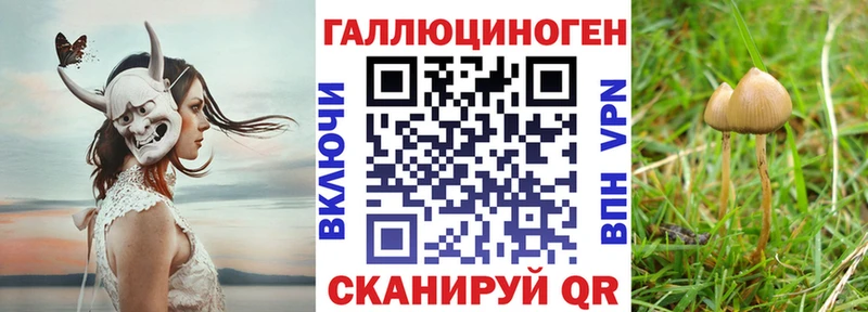 наркотики  Нижний Новгород  Псилоцибиновые грибы Magic Shrooms 